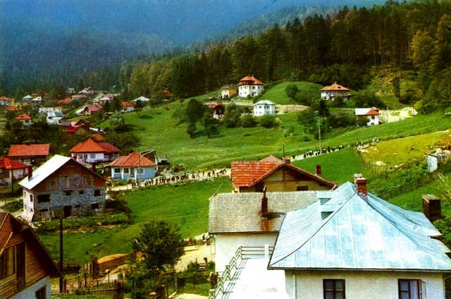 1443 - Busteni. Pe Zamora